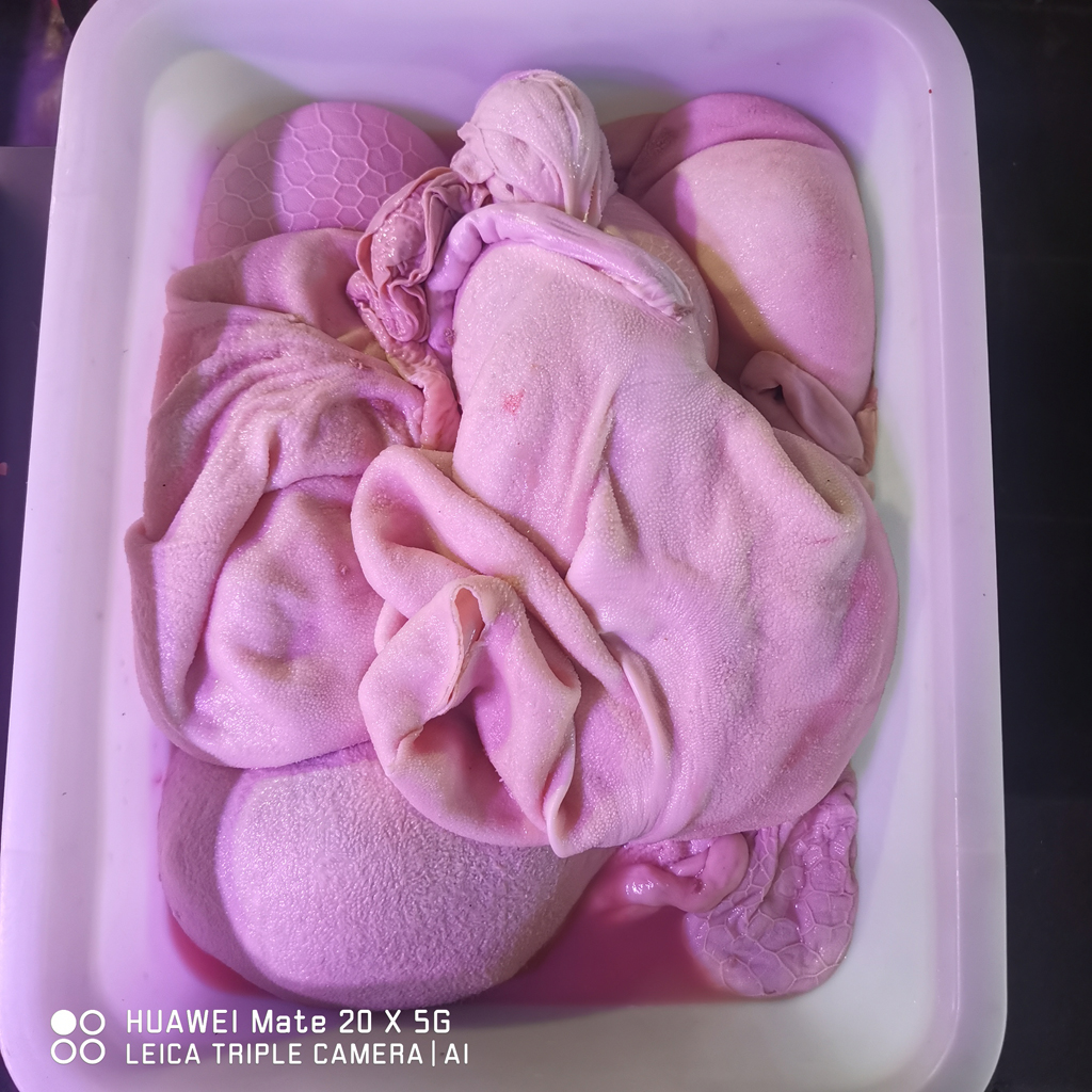 南江黄羊鲜羊杂
