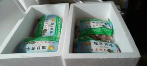 南江黄羊礼品盒内包装